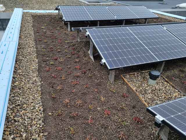 Referenzen Dachbegrünung