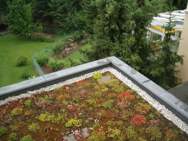 Referenzen Dachbegrünung