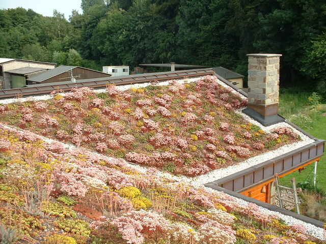 Referenzen Dachbegrünung