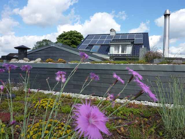 Referenzen Dachbegrünung