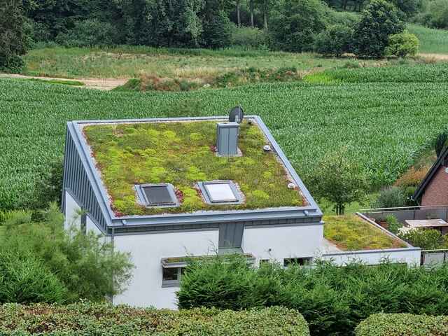 Referenzen Dachbegrünung