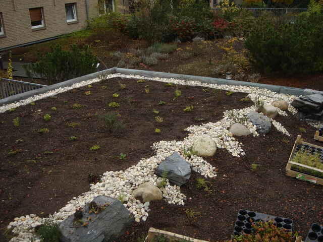 Referenzen Dachbegrünung