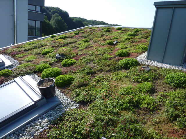 Referenzen Dachbegrünung