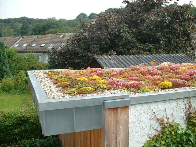 Referenzen Dachbegrünung