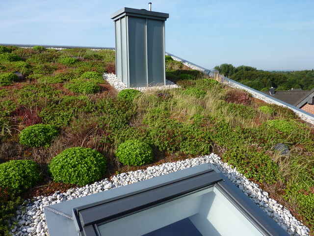 Referenzen Dachbegrünung