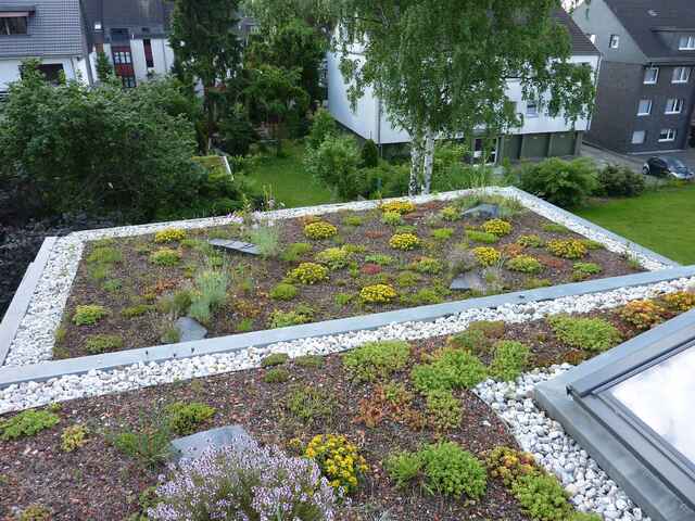 Referenzen Dachbegrünung