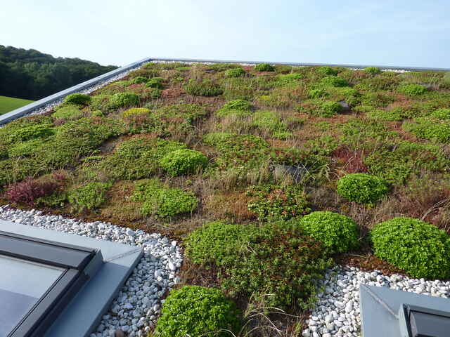 Referenzen Dachbegrünung