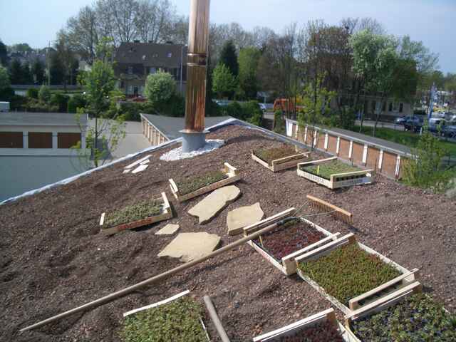 Referenzen Dachbegrünung