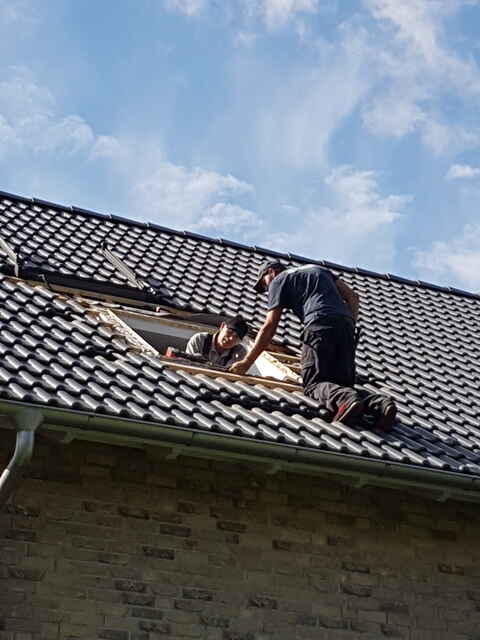 Referenz Dachbelichtung