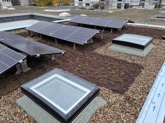 Referenz Dachbelichtung