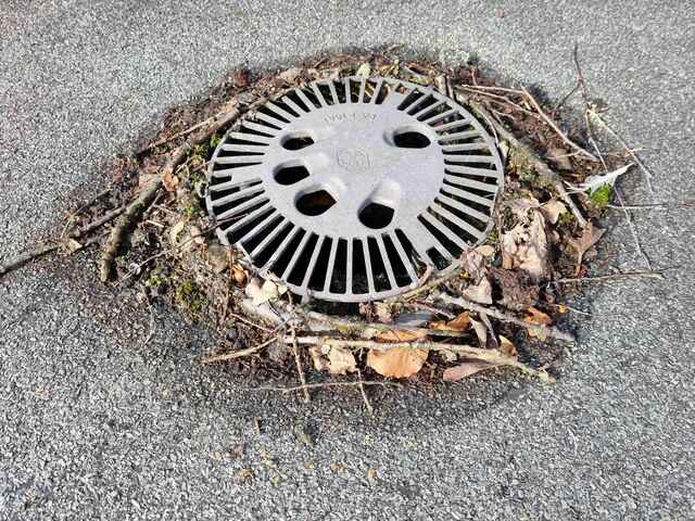 Hier sehen Sie ein paar Entdeckungen und Schäden, die auf Dächern entstehen können.