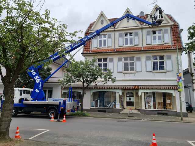 Hier sehen Sie ein paar Entdeckungen und Schäden, die auf Dächern entstehen können.