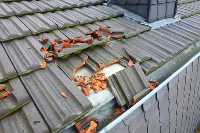 Hier sehen Sie ein paar Entdeckungen und Schäden, die auf Dächern entstehen können.