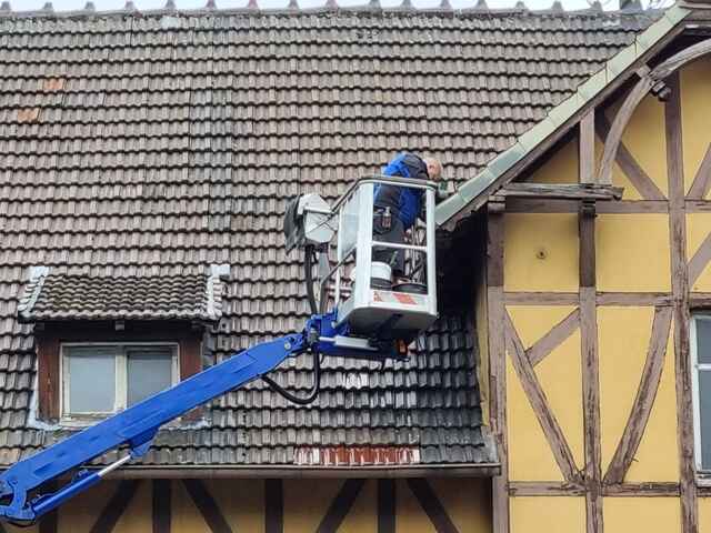 Hier sehen Sie ein paar Entdeckungen und Schäden, die auf Dächern entstehen können.