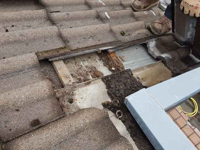 Hier sehen Sie ein paar Entdeckungen und Schäden, die auf Dächern entstehen können.