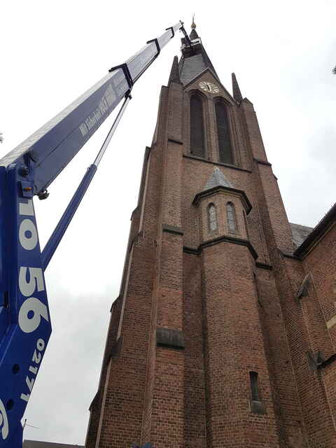 Hier sehen Sie ein paar Entdeckungen und Schäden, die auf Dächern entstehen können.