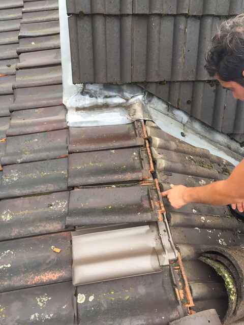 Hier sehen Sie ein paar Entdeckungen und Schäden, die auf Dächern entstehen können.