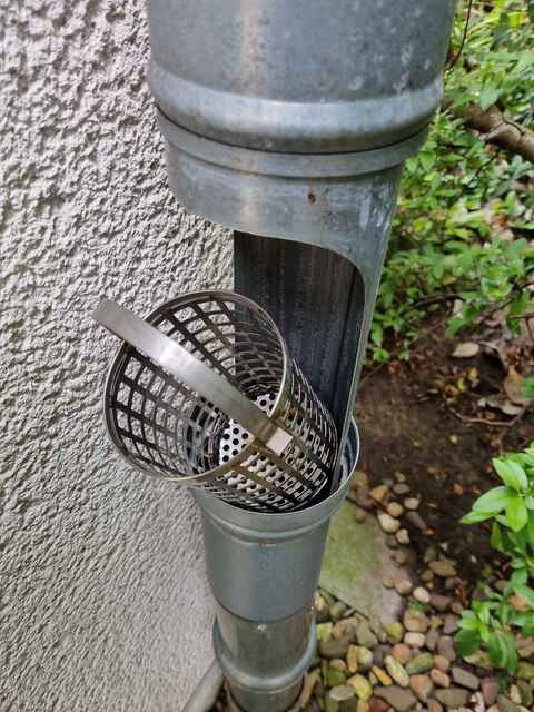 Hier sehen Sie ein paar Entdeckungen und Schäden, die auf Dächern entstehen können.