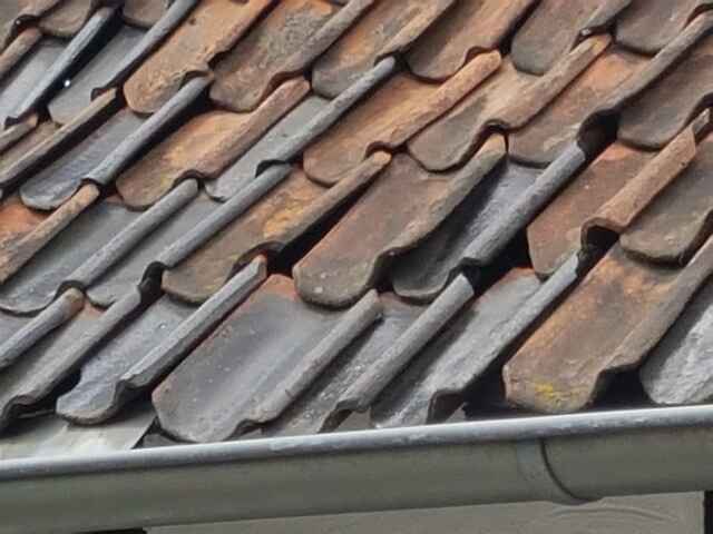 Hier sehen Sie ein paar Entdeckungen und Schäden, die auf Dächern entstehen können.