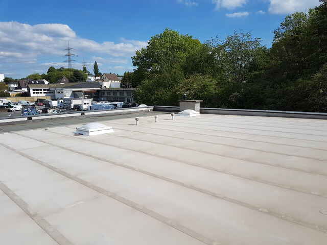 Hier sehen Sie ein paar Entdeckungen und Schäden, die auf Dächern entstehen können.