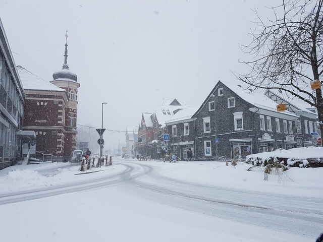 Hier sehen Sie ein paar Entdeckungen und Schäden, die auf Dächern entstehen können.