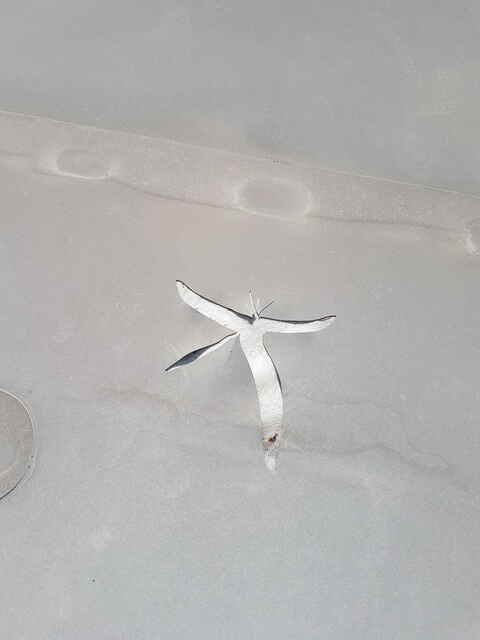 Hier sehen Sie ein paar Entdeckungen und Schäden, die auf Dächern entstehen können.