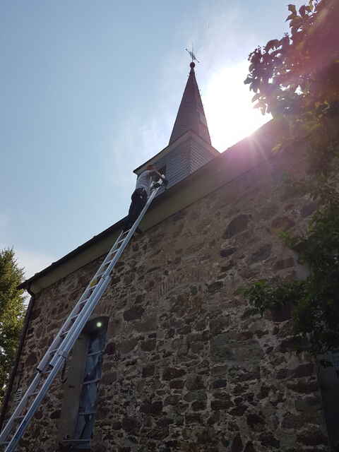 Hier sehen Sie ein paar Entdeckungen und Schäden, die auf Dächern entstehen können.