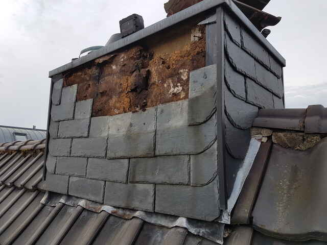 Hier sehen Sie ein paar Entdeckungen und Schäden, die auf Dächern entstehen können.