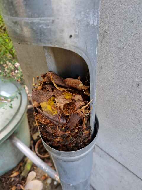 Hier sehen Sie ein paar Entdeckungen und Schäden, die auf Dächern entstehen können.
