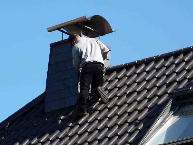 Hier sehen Sie ein paar Entdeckungen und Schäden, die auf Dächern entstehen können.