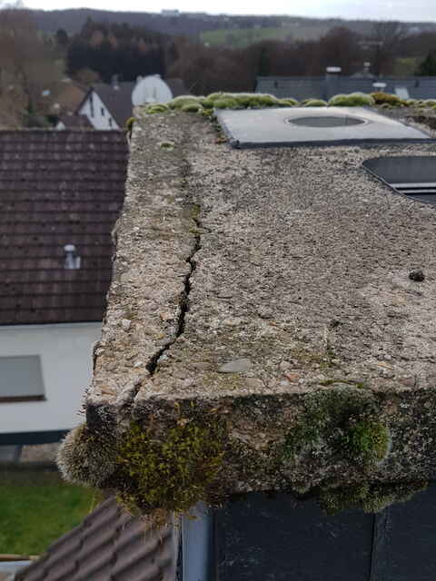 Hier sehen Sie ein paar Entdeckungen und Schäden, die auf Dächern entstehen können.