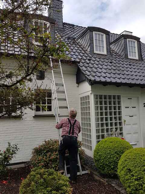 Hier sehen Sie ein paar Entdeckungen und Schäden, die auf Dächern entstehen können.