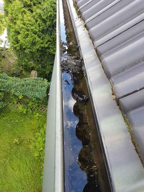 Hier sehen Sie ein paar Entdeckungen und Schäden, die auf Dächern entstehen können.