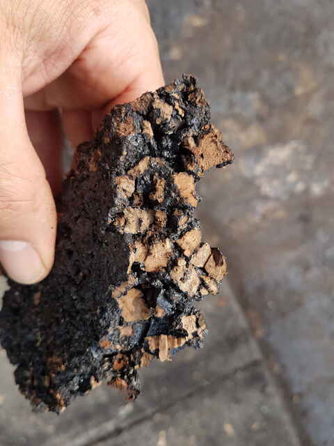 Hier sehen Sie ein paar Entdeckungen und Schäden, die auf Dächern entstehen können.